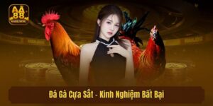 Đá Gà Cựa Sắt - Kinh Nghiệm Bất Bại Khi Giải Trí Mỗi Ngày
