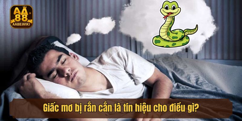 Giấc mơ bị rắn cắn là tín hiệu cho điều gì?