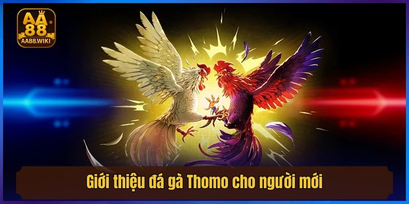 Giới thiệu đá gà Thomo cho người mới