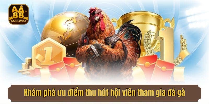 Khám phá ưu điểm thu hút hội viên tham gia đá gà
