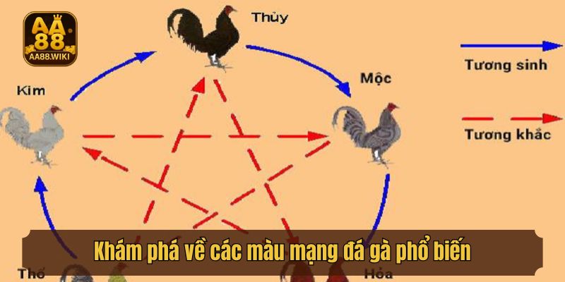 Khám phá về các màu mạng đá gà phổ biến
