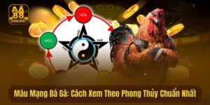 Màu Mạng Đá Gà: Cách Xem Theo Phong Thủy Chuẩn Nhất