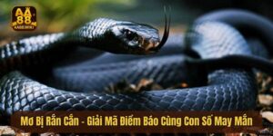 Mơ Bị Rắn Cắn - Giải Mã Điềm Báo Cùng Con Số May Mắn Từ AA88