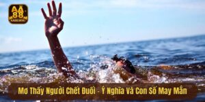 Mơ Thấy Người Chết Đuối - Ý Nghĩa Và Con Số May Mắn Từ Aa88