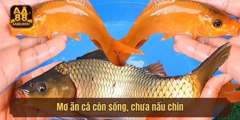 Mơ ăn cá còn sống, chưa nấu chín