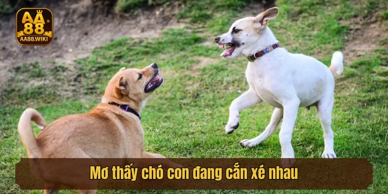 Mơ thấy chó con đang cắn xé nhau