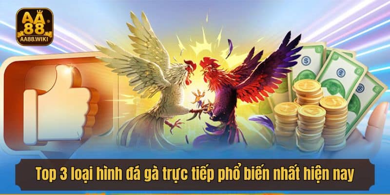 Top 3 loại hình đá gà trực tiếp phổ biến nhất hiện nay