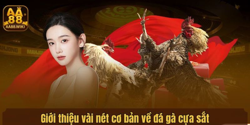Giới thiệu vài nét cơ bản về đá gà cựa sắt