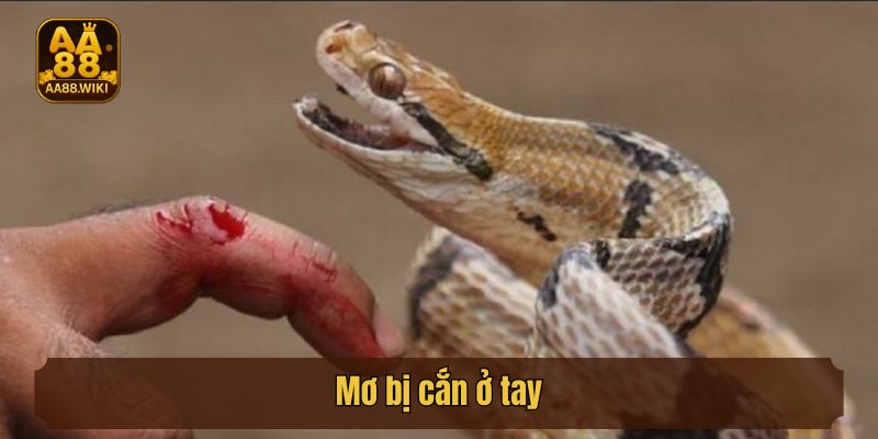 Mơ bị cắn ở tay